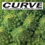 Curve - Fait Accompli