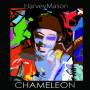 Harvey Mason - Chameleon