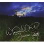 Daishi Dance - Wonder Tourism