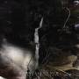 Downfall Of Nur - Umbras E Forestas