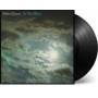 Peter Green - In the Skies