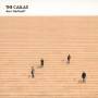 The Callas - Am I Vertical?