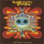 Super Furry Animals - Rings Around The World