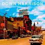 Down Harrison - Down Harrison
