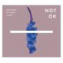 Brothers Of Santa Claus - Not Ok