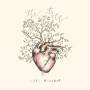 Lori Mckenna - The Tree