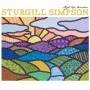 Sturgill Simpson - High Top Mountain (180 Gr. LP+MP3)