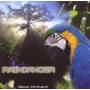 Steve Orchard - Raindancer
