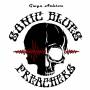 Gwyn Ashton - Sonic Blues Preachers