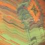 Svin - Introducing Svin (Ltd.Gtf.Orange LP)
