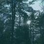 Ashbringer - Vacant