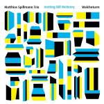 Matthias Spillmann Trio - Walcheturm