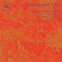 Destruction Unit - Negative Feedback Resistor