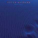 Peter Baumann - Nightfall