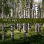 TELEMANN G. P. - Music For Flute