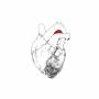 Swans - The Beggar (Ltd. 2CD)