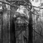 Demersus Ad Nihilum - //180703//(LP)