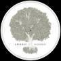 Apparat - Silizium EP (Picture Disc)