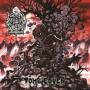 Skeletal Spectre - Tomb Coven