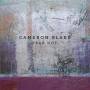 Cameron Blake - Fear Not