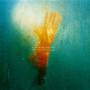 James Johnston / Steve Gullick - Everybody's Sun