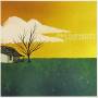 John Vanderslice - Pixel Revolt