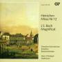 Dresdner Kammerchor / Dresdner Barockorchester - Missa 12/Magnificat BWV 243