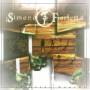 Simone Fiorletta - Parallel worlds