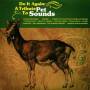 Beach Boys.=tribute= - Do It Again: A Tribute To