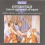 Roberto Loreggian - Orgelkonzerte-Adaptionen