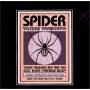 yosuke Yamashita - Spider