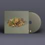 Fergus McCreadie - Forest Floor
