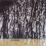 Christer Lindwall - Rhizome
