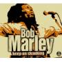 bob Marley - Keep On Skanking