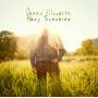 Dennis Ellsworth - Hazy Sunshine