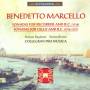 Collegium Pro Musica - Sonaten
