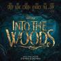 OST / Stephen Sondheim (Composer) - Into The Woods