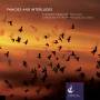 Rolfe / Israelievitch / Quilico - Fancies & Interludes