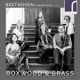 Boxwood & Brass - Beethoven Transformed,Vol.1