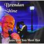 Brendan Shine - Where Did You Meet Her