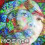 Terri Carrington Lyne - Mosaic Project