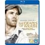 Grapes Of Wrath (1940) / (full Dts P & S) - Grapes Of Wrath (1940) [US-Version, Regio 1/A]