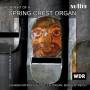 Jorg Kraemer - Portrait Of A Spring Chest Organ