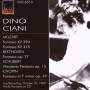 Dino Ciani - Fantasien