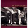 U2 - The Unforgettable Fire (2009 Remastered)
