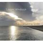 The Darkening Scale - Locum Windsock