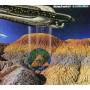 Hawkwind - Levitation - 3CD Expanded Edition