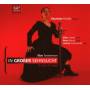 Riedijk / Cover / Brunt / Groeneveld - In Grosser Sehnsucht