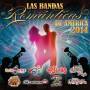 V / A - Las Bandas Romanticas De America 2014