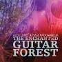 Alex Lubet / Radovanlija - Enchanted Guitar Forest